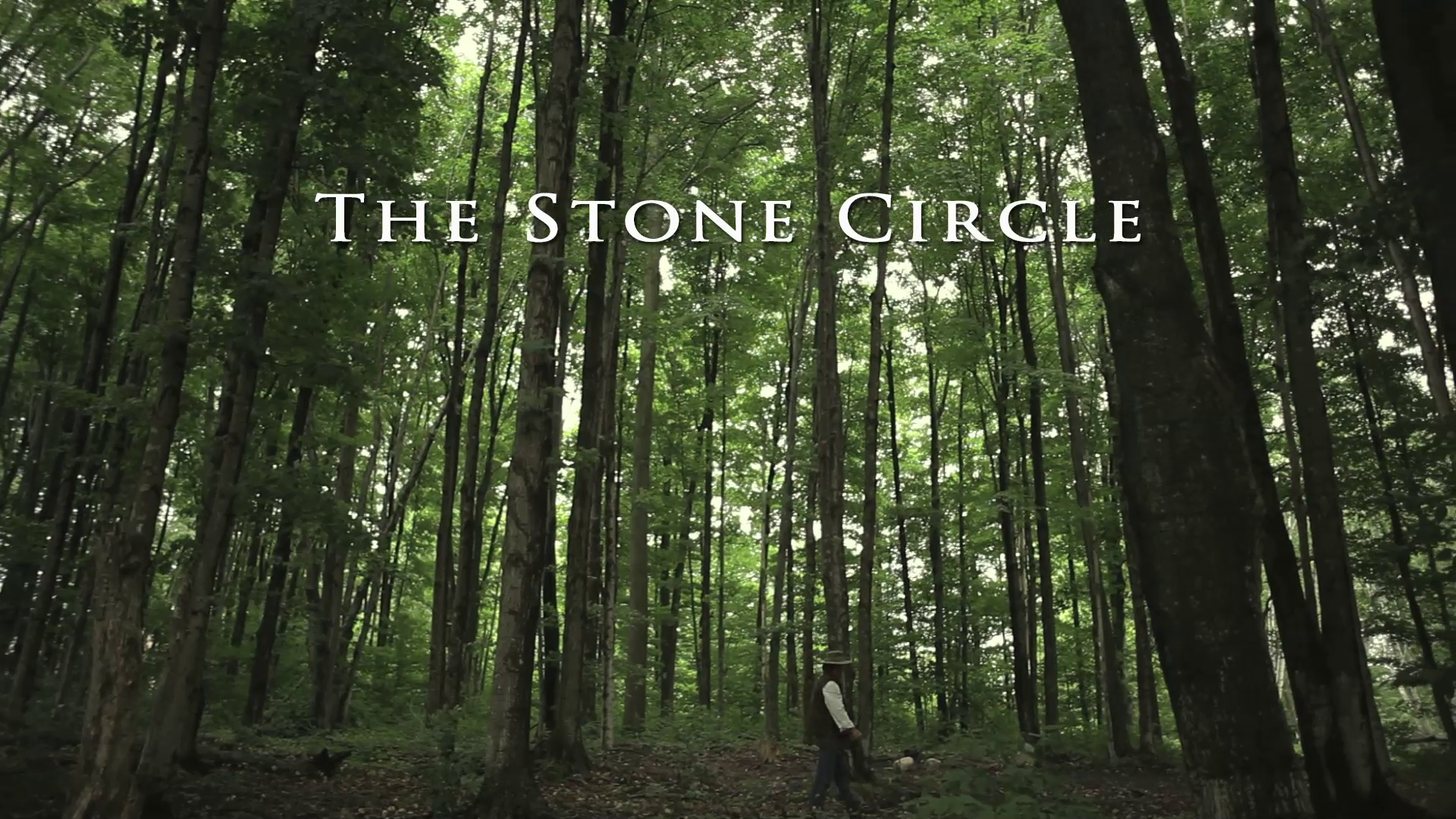 The Stone Circle